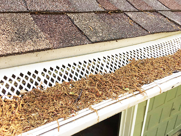 Gutter Guards The Pros And Cons Of Each Type