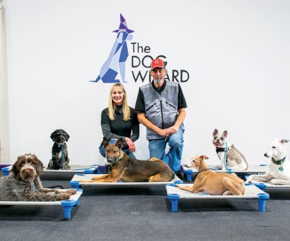 The dynamic duo at The Dog Wizard can teach any dog new behavioral tricks