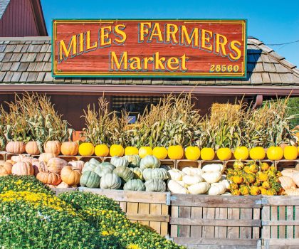 Miles Farmers Market is all about offering the best bounty fall has to offer