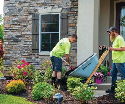 Peters  Professional Landscaping can  reinvigorate your yard