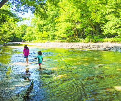 Lake Metroparks August