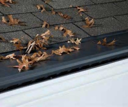 Since 1998, The Gutter Cover Company has been a locally owned and operated source for the only gutter protection you need