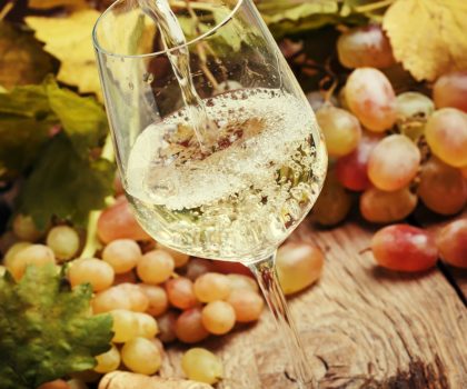 Enjoy dry or sweet Rieslings with a wide variety of cheese and food