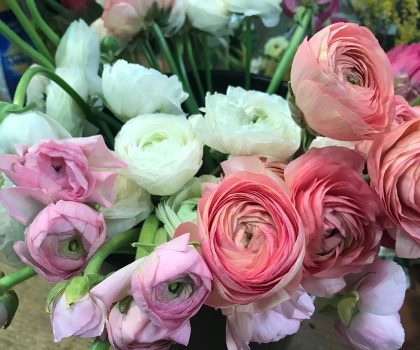 Fresh, colorful blossoms from around the world at Hudson floral studio Molly Taylor and Co.