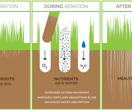 Lawn Aeration 819