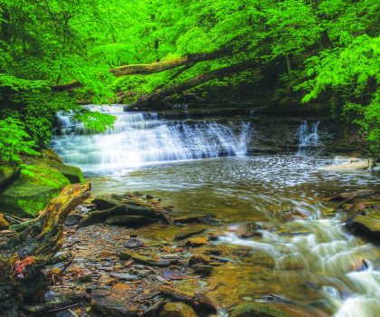 The five fave waterfalls of Lake Metroparks’ Andy Avram