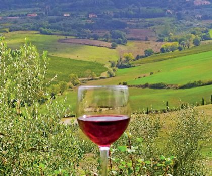 Savoring the Montepulciano spectrum