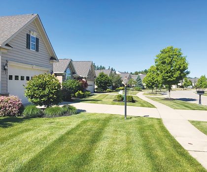 Southwest Landscape Management can beautify any lawn or landscape