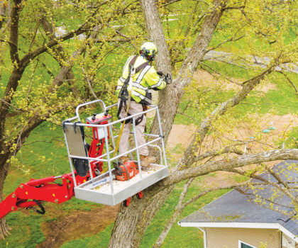 The certified arborists at Titan Arbor Care are experts at tree  pruning and removal, but the time to call is now