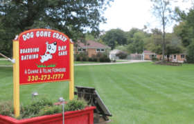 Dog Gone Crazy Sign 1