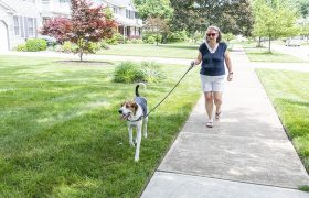 Healthcare Help Walking With Watson 1