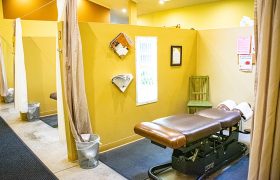 Living Tree Chiropractic