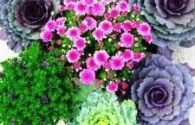 Sitemgr Photo 2851