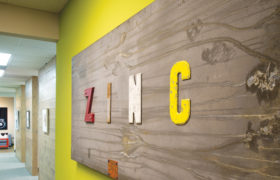 Zinc Insurane 2